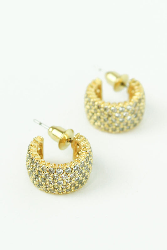 THICK PAVE HOOPS (8024319656152)