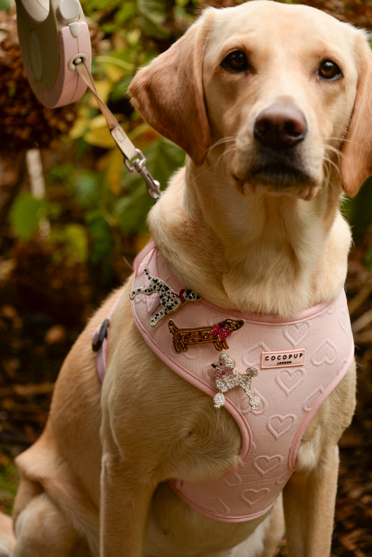 DALMATIAN BROOCH